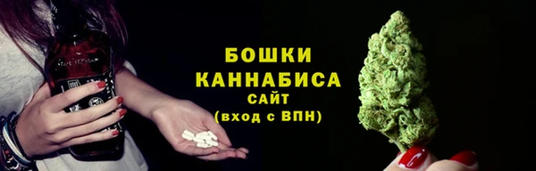 стафф Аркадак