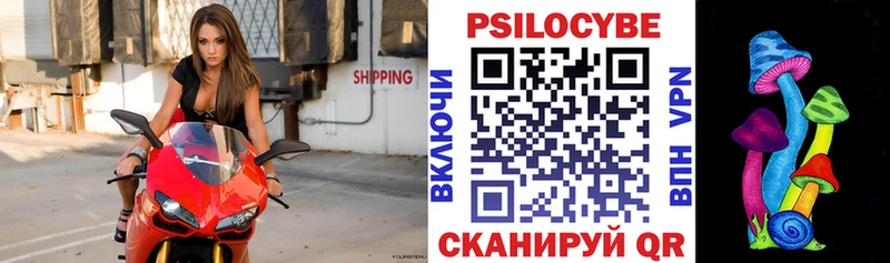 MEGA зеркало  как найти закладки  Мытищи  Псилоцибиновые грибы ЛСД 
