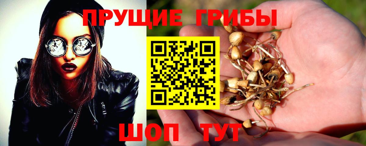Псилоцибиновые грибы Cubensis  Псилоцибиновые грибы мухоморы  Мытищи  Вход с VPN 